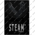 Steam Card 100$